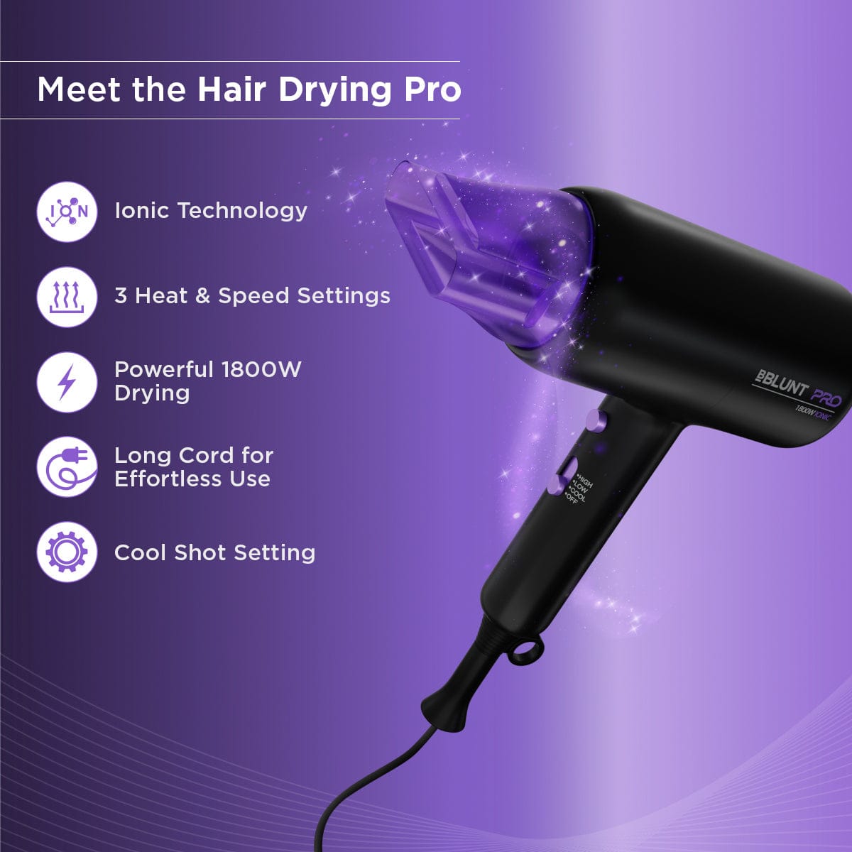 Professional ionic 2024 hair dryer